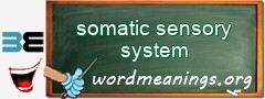 WordMeaning blackboard for somatic sensory system